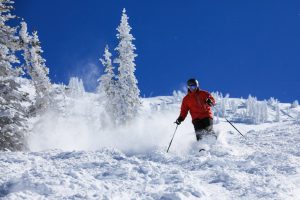 Man Skier Destination Properties